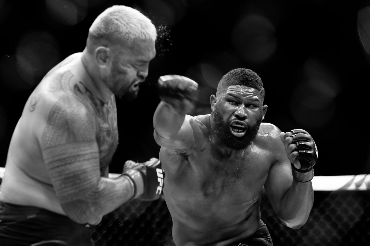 Cage Fighting_BLOG.jpg
