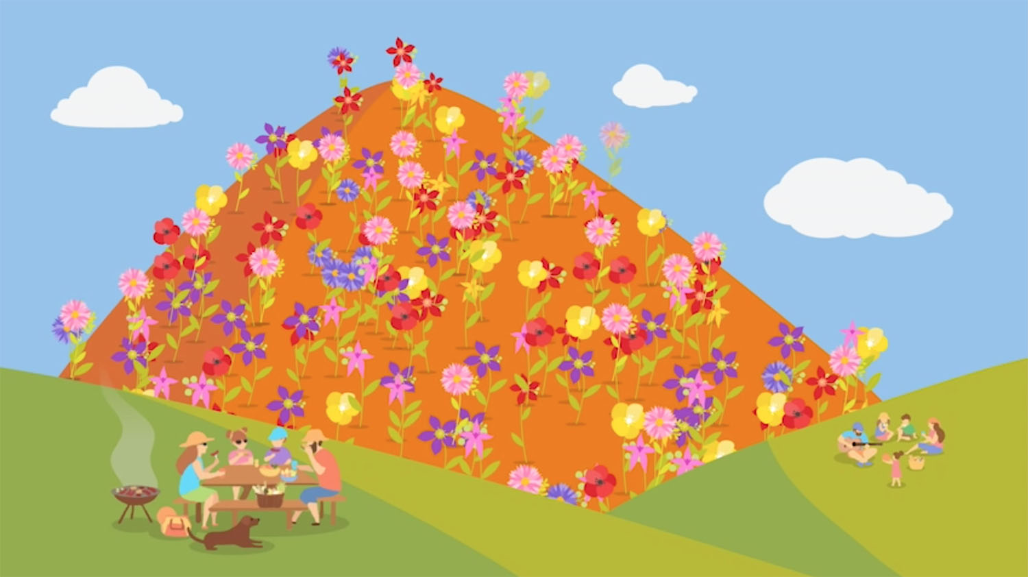 Lateral Aspect sprouts local government wildflower season tourism campaign