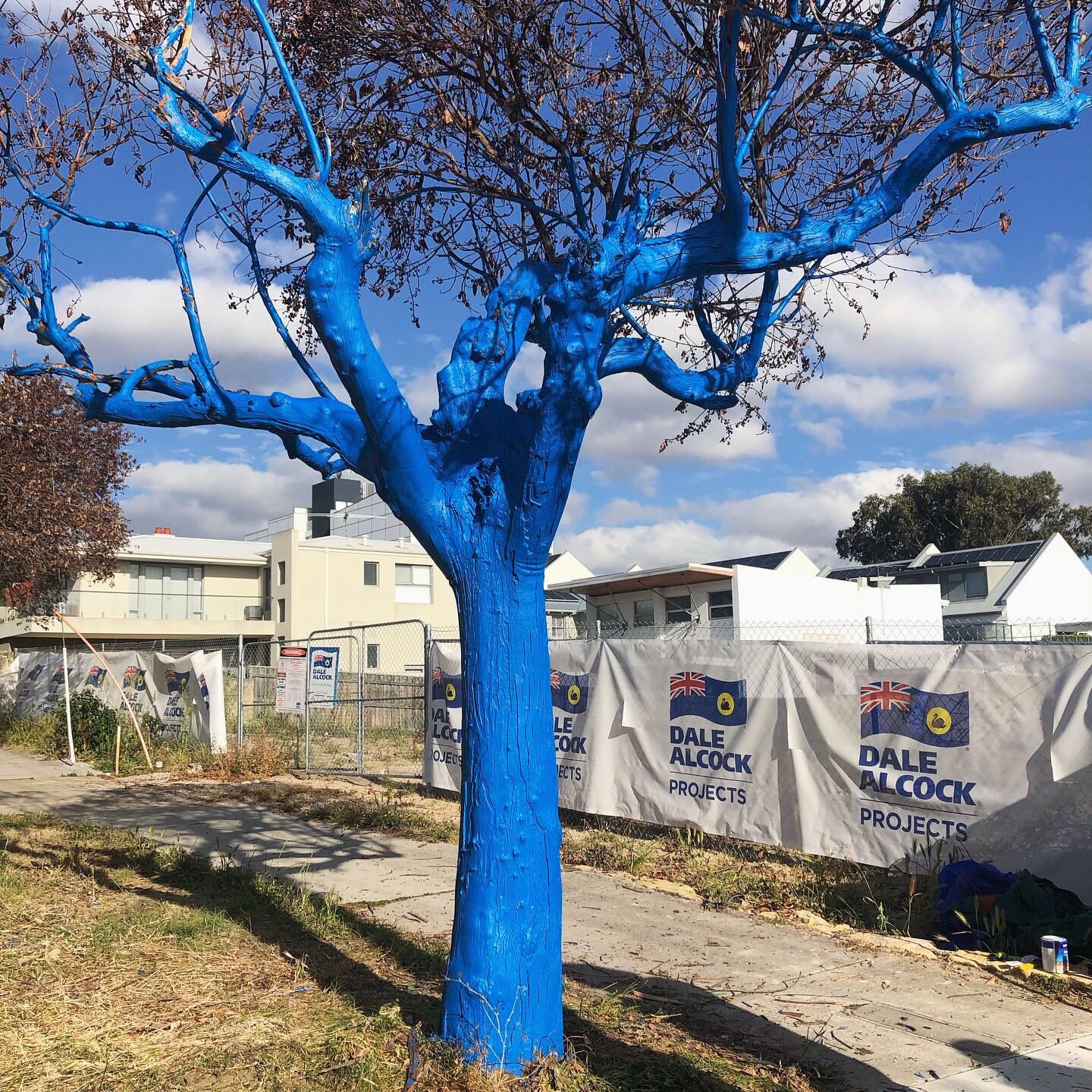 Metro Perth gets its first blue tree thanks to Marketforce and The Blue Tree Project