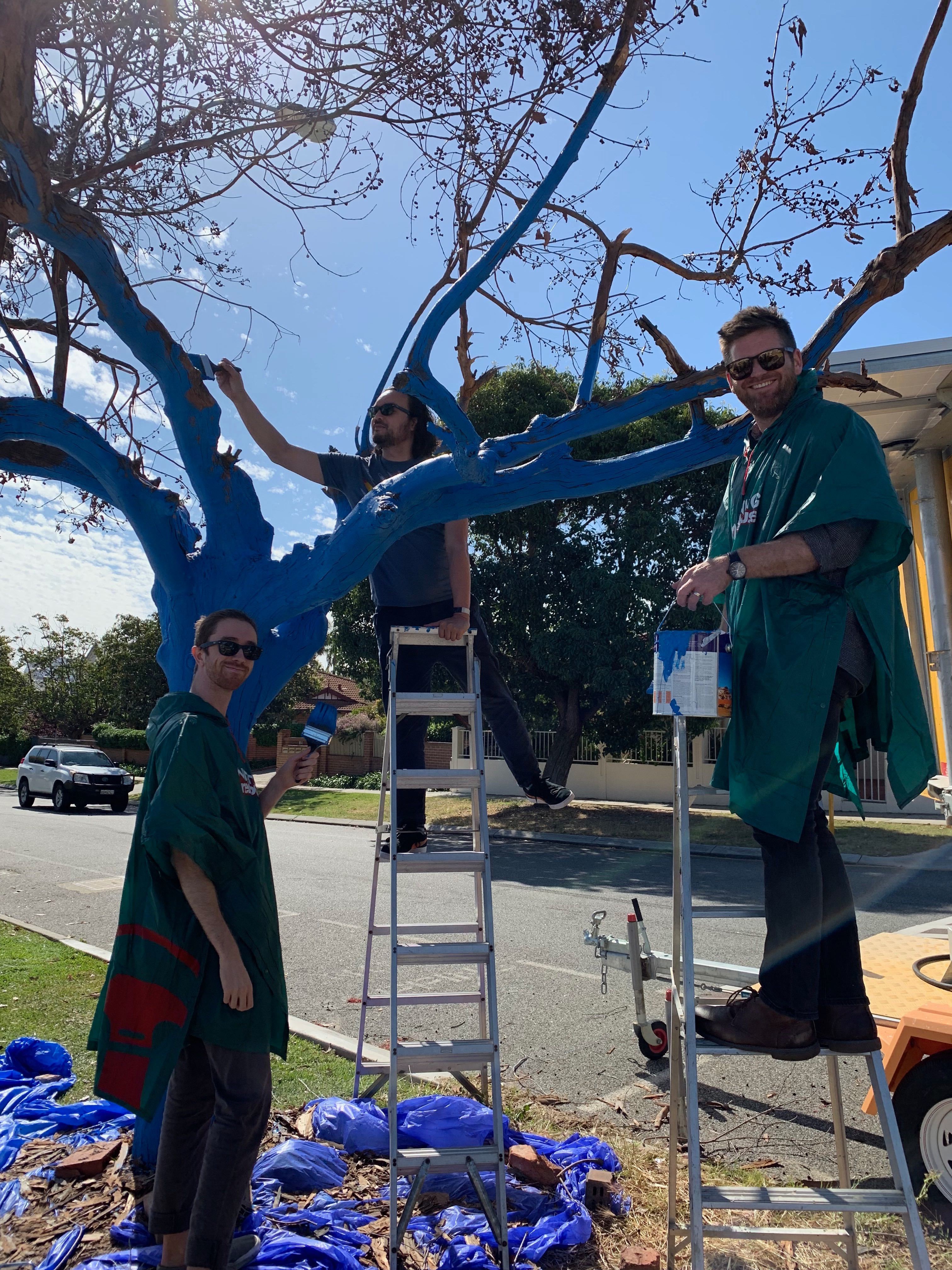 Metro Perth gets its first blue tree thanks to Marketforce and The Blue Tree Project