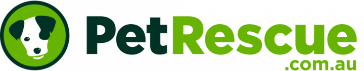 PetRescue rallies pet lovers to help build a safe future for Australian pets with technology