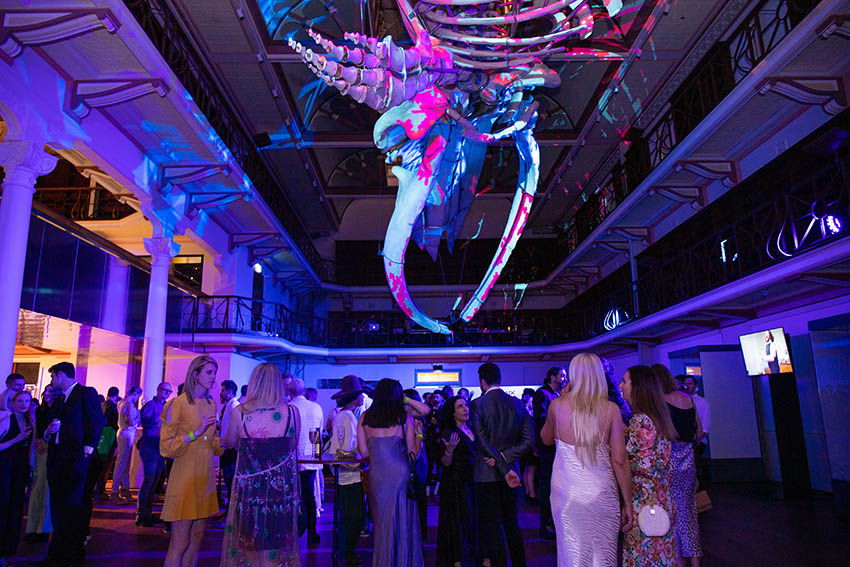 Good Times: PADC Skulls Showcase