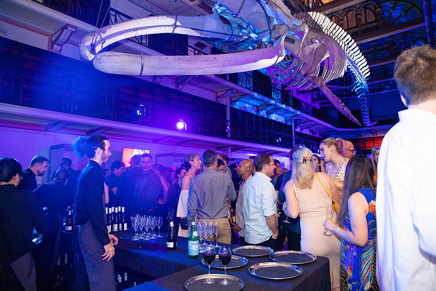 Good Times: PADC Skulls Showcase