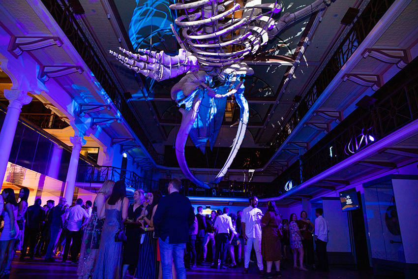 Good Times: PADC Skulls Showcase