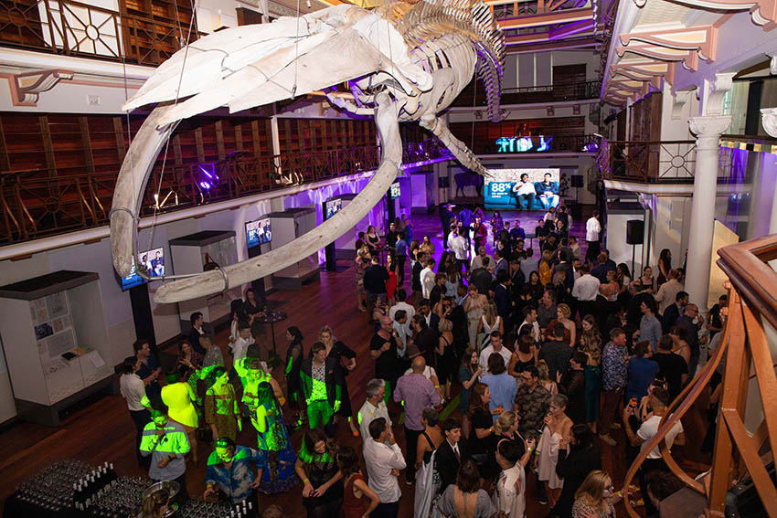 Good Times: PADC Skulls Showcase