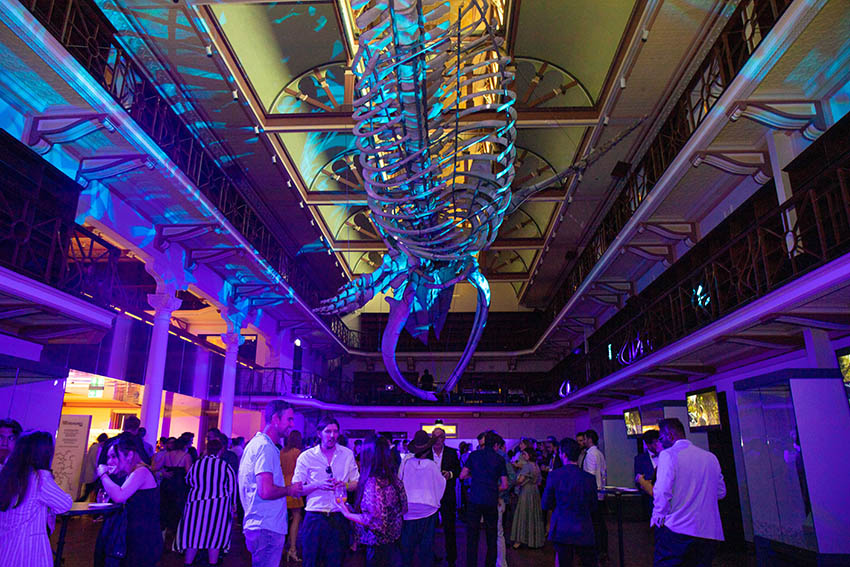 Good Times: PADC Skulls Showcase