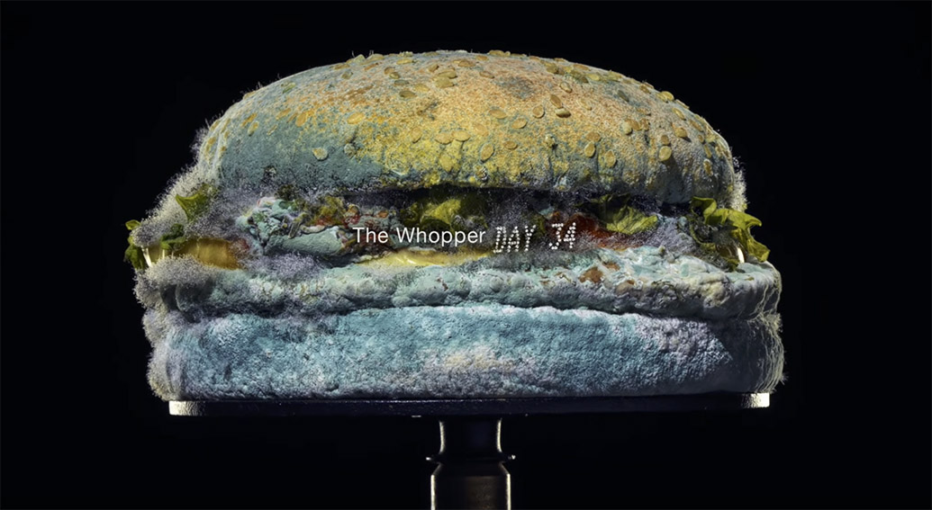 Creative Circle: Andrew Tinning + Tom Wilson