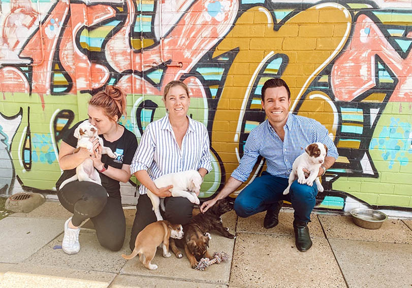 Tonic Digital lends a hand to support animal charity Dogs’ Refuge Home in Shenton Park
