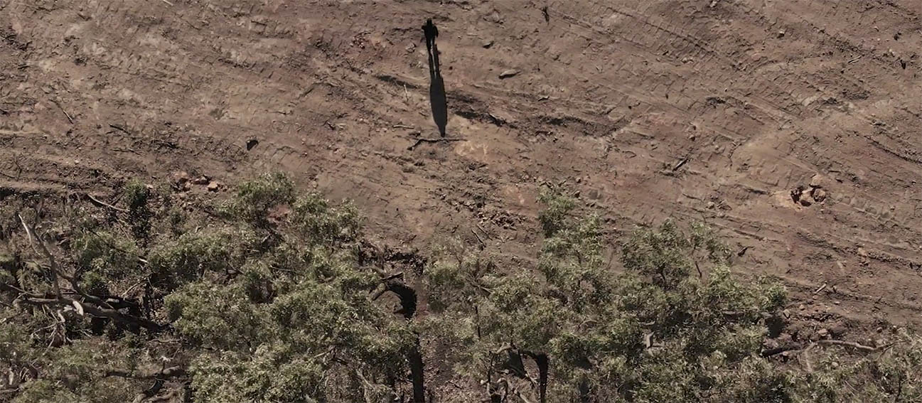 Perth born collective Heavy Duty and West Australian Forest Alliance create signs to highlight hidden deforestation in WA