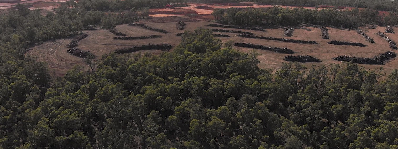 Perth born collective Heavy Duty and West Australian Forest Alliance create signs to highlight hidden deforestation in WA