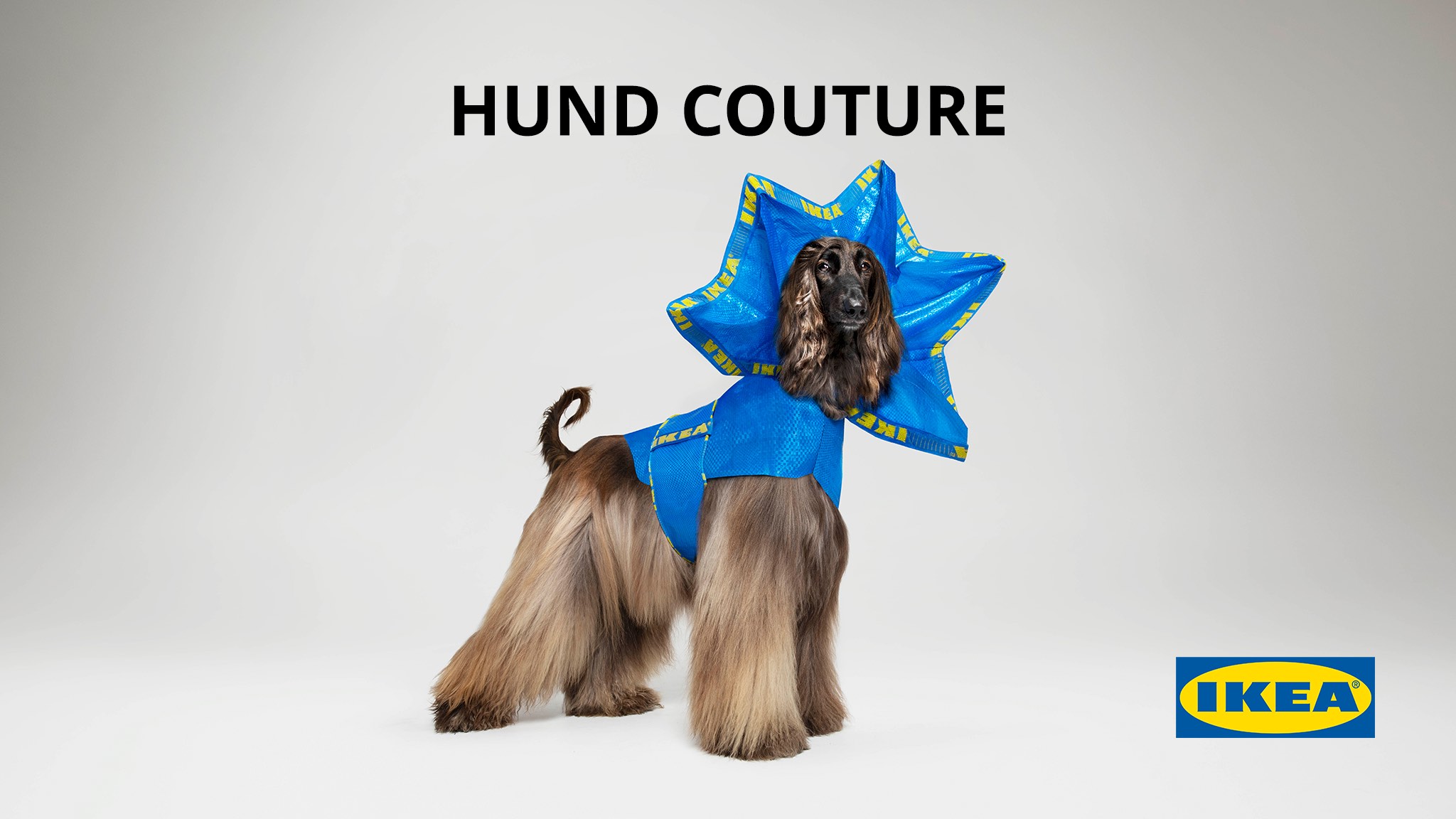 IKEA launches HUND COUTURE for dogs in April Fools’ Day campaign