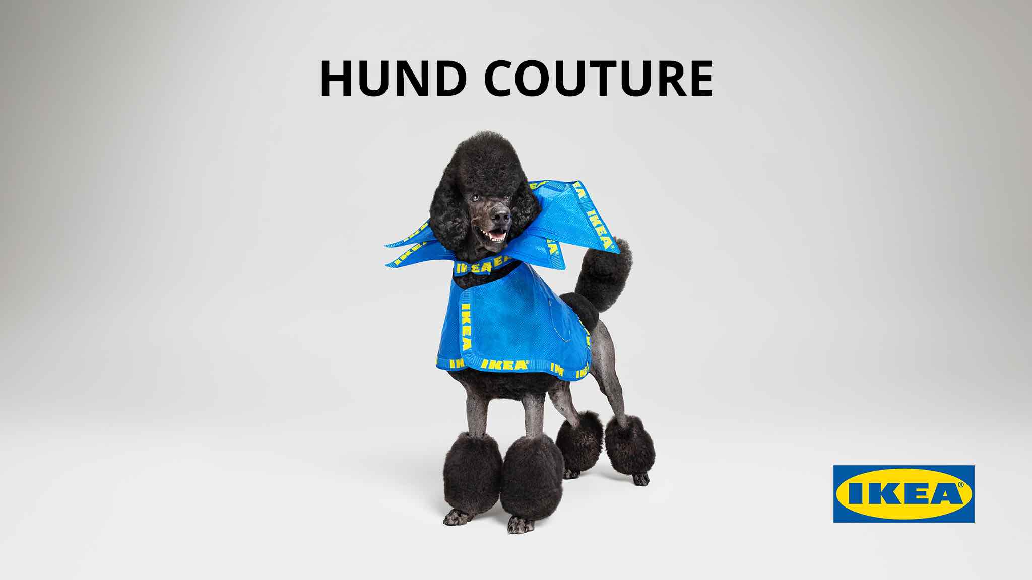 IKEA launches HUND COUTURE for dogs in April Fools’ Day campaign