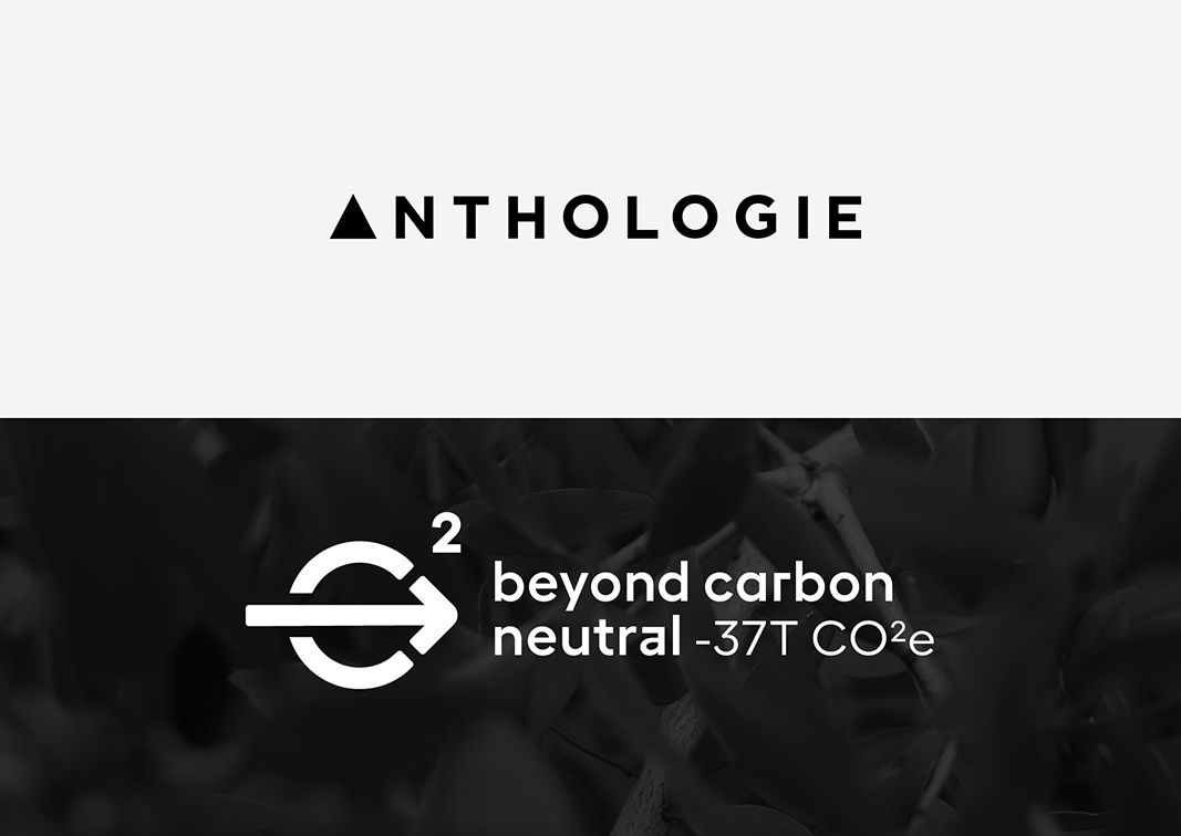 Beyond zero: Anthologie leads the way as WA’s first carbon neutral creative agency workplace