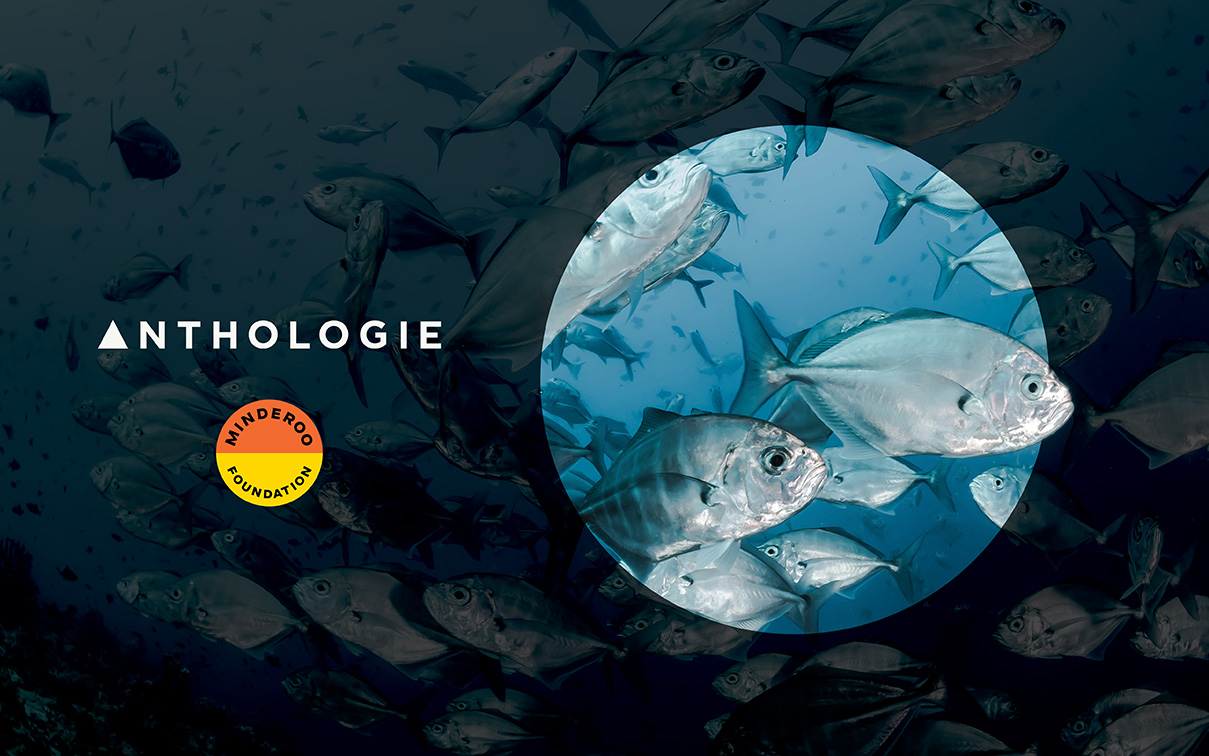 Anthologie puts the spotlight on overfishing via a Global Fishing Index digital platform for Minderoo Foundation