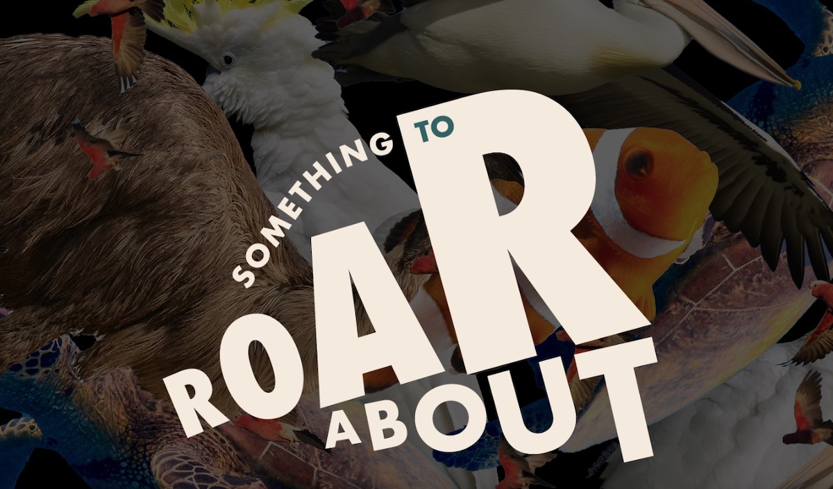 Entries now open for Young Lions Australia competition; deadline 5pm AEDT Mon, 14 March