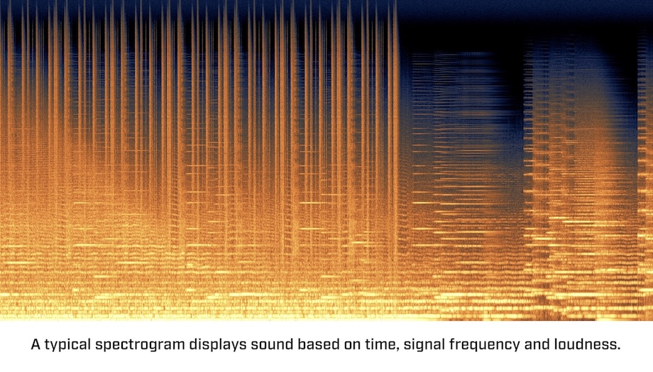 Australian Navy hides image in sound