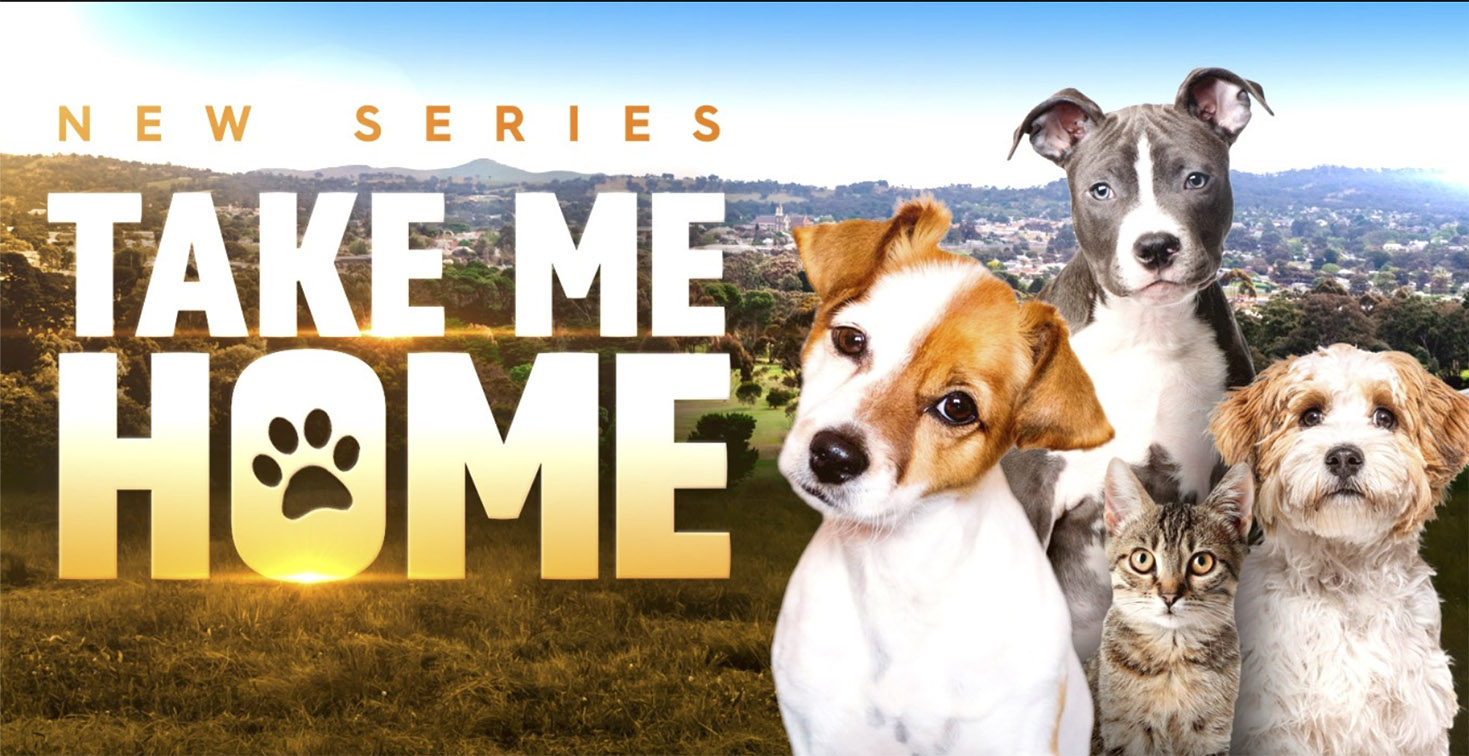 The joy of rescue dogs highlighted in Channel 9’s Take Me Home premier