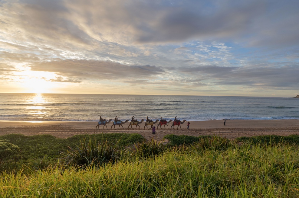 Tourism Western Australia launches major WA wildlife display in Sydney via The Mint Partners