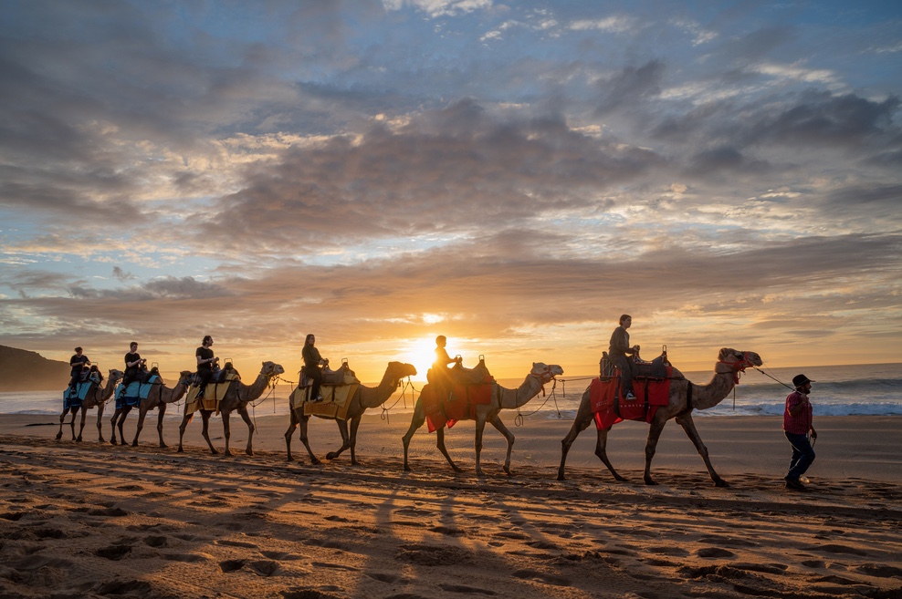 Tourism Western Australia launches major WA wildlife display in Sydney via The Mint Partners