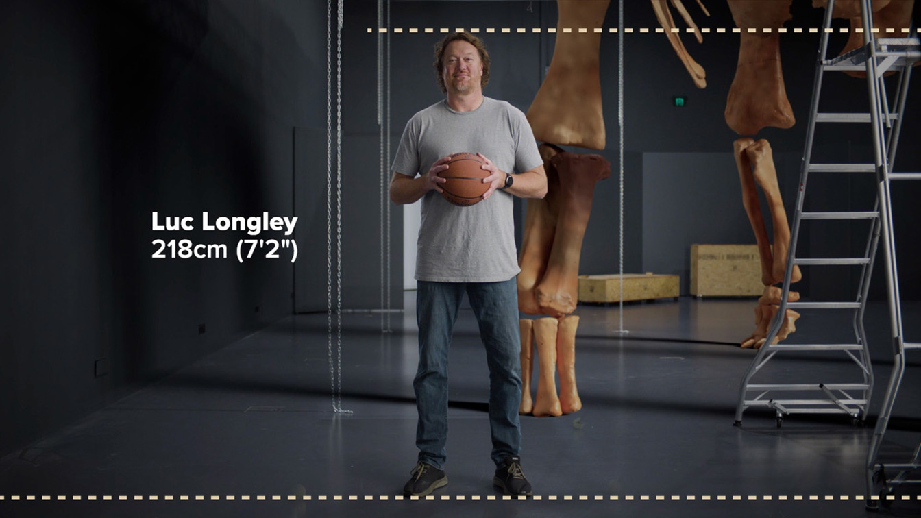 Block goes big with Luc Longley for Museum’s Dinosaurs of Patagonia exhibition