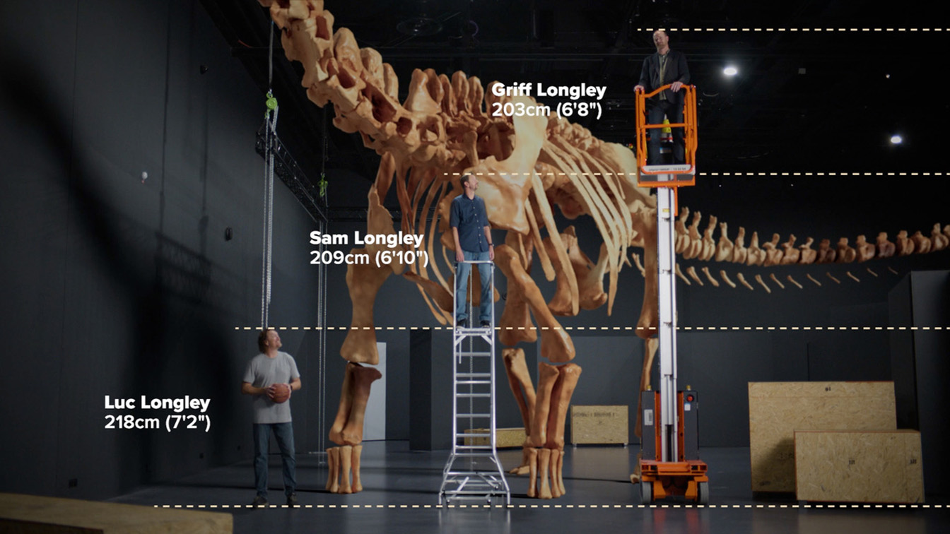 Block goes big with Luc Longley for Museum’s Dinosaurs of Patagonia exhibition