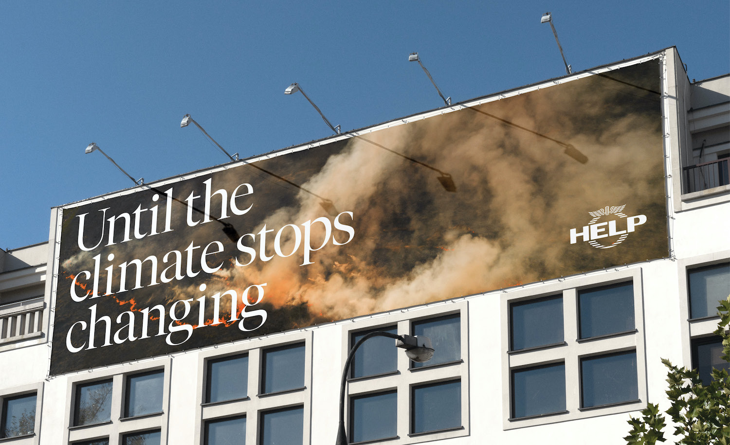 NRMA Insurance launches new national brand platform via Bear Meets Eagle On Fire
