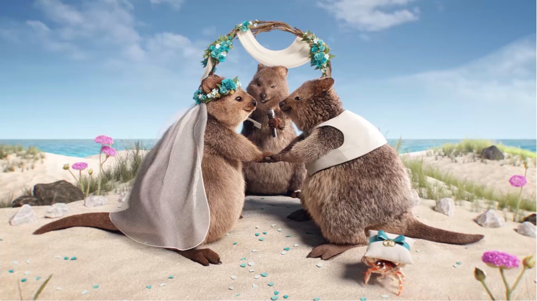 HBF’s Quokkas question happily ever after in latest campaign via Leo Burnett Australia