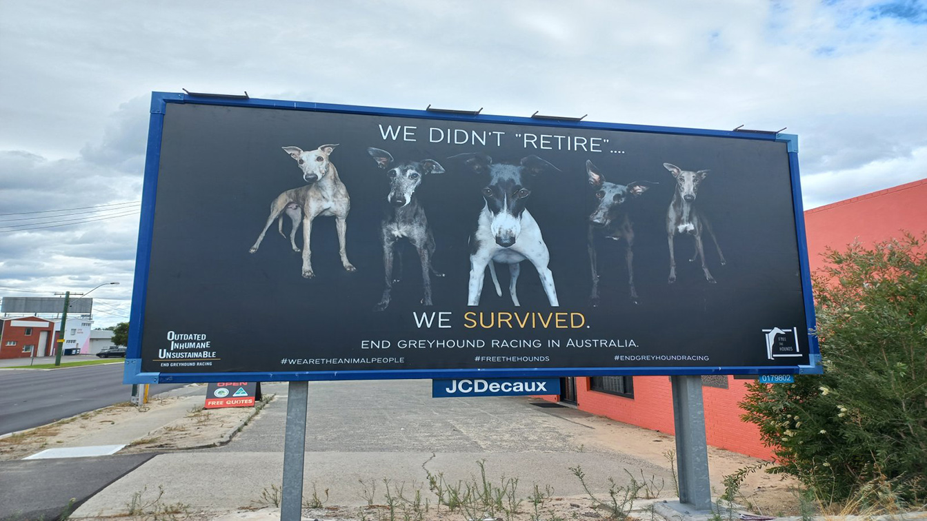 We Didn’t “Retire”, We Survived says hard hitting Free the Hounds outdoor campaign