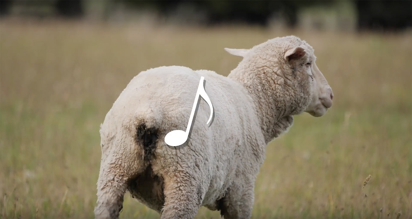 Naked parents and farting sheep star in latest RASWA campaign via Likeable Creative