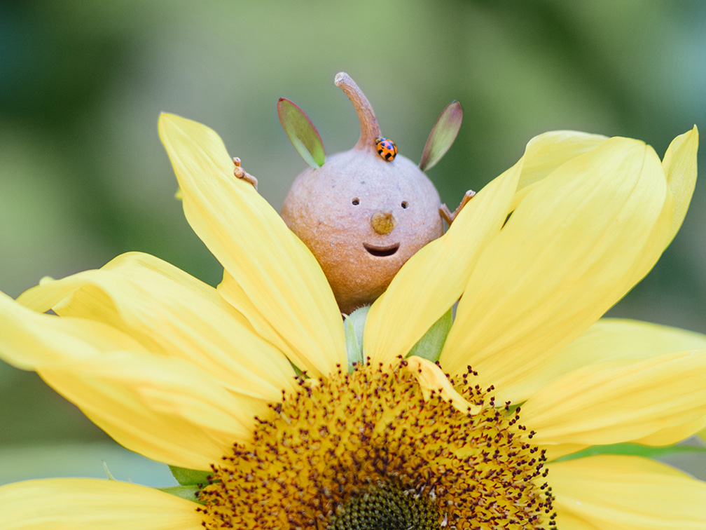 The Brand Agency’s Carly Moone helps Encourage the Wonder for early childhood educator Unicare