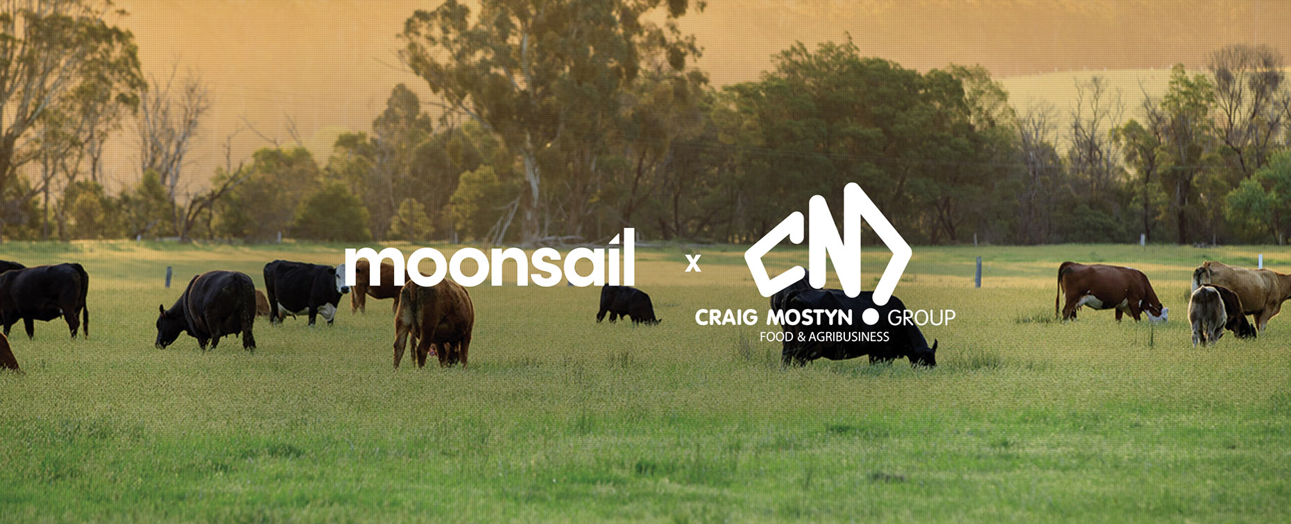 Craig Mostyn Group appoints Moonsail following competitive pitch