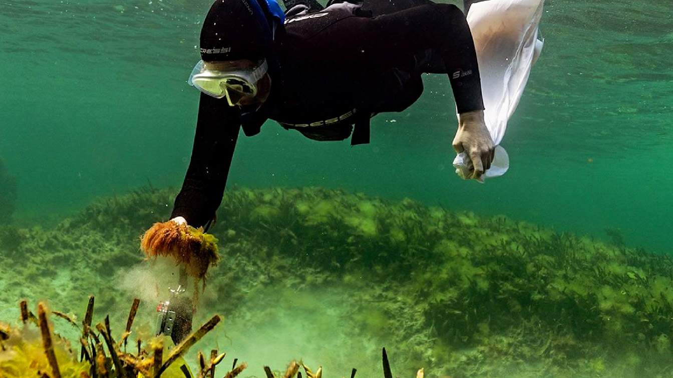 Glide Agency propels Fremantle Seaweed to success with $1.26 million crowdfunding raise