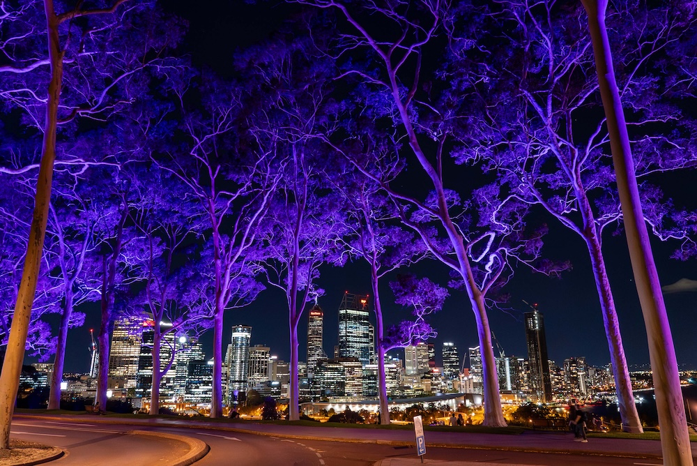 Purple comes full circle with new brand launch
