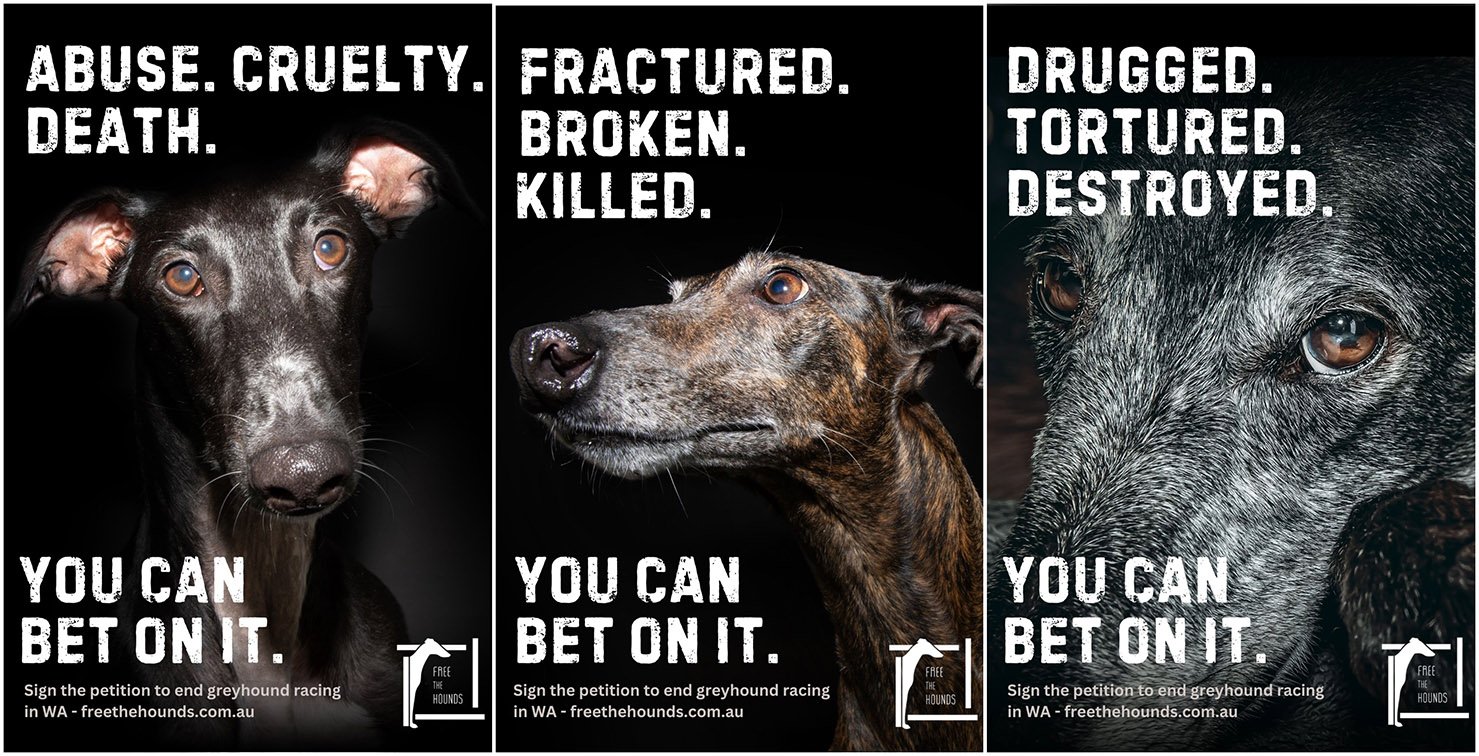 AT Creative and Neve Media help Free the Hounds with confronting new campaign