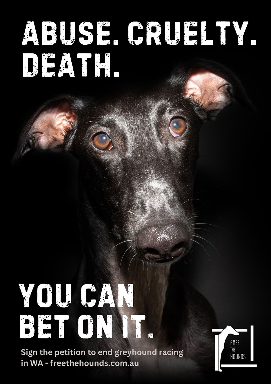 AT Creative and Neve Media help Free the Hounds with confronting new campaign