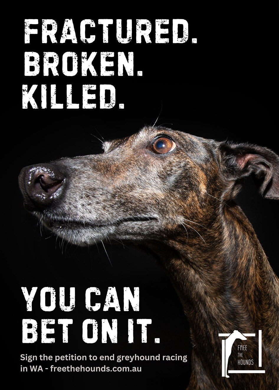 AT Creative and Neve Media help Free the Hounds with confronting new campaign