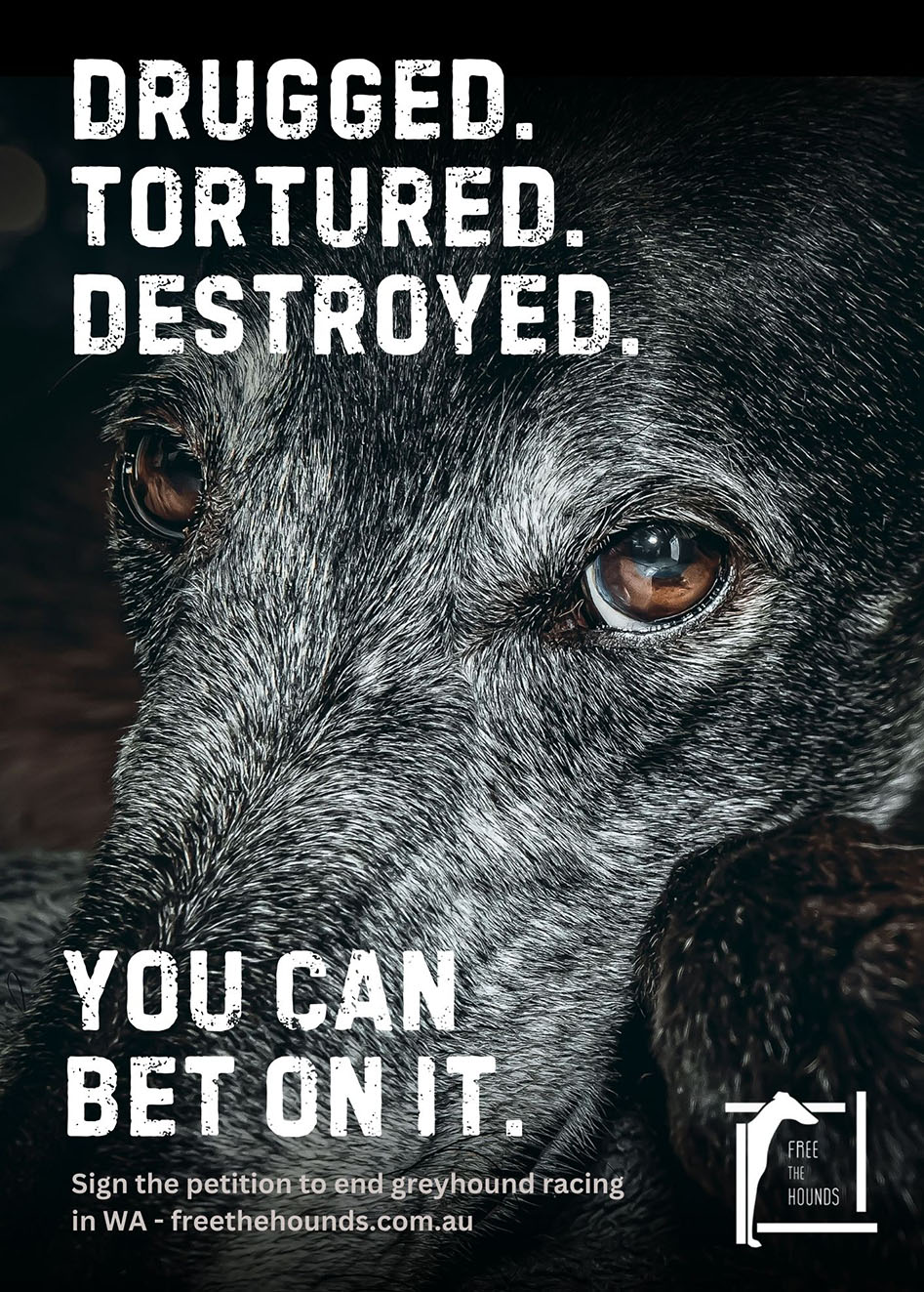 AT Creative and Neve Media help Free the Hounds with confronting new campaign