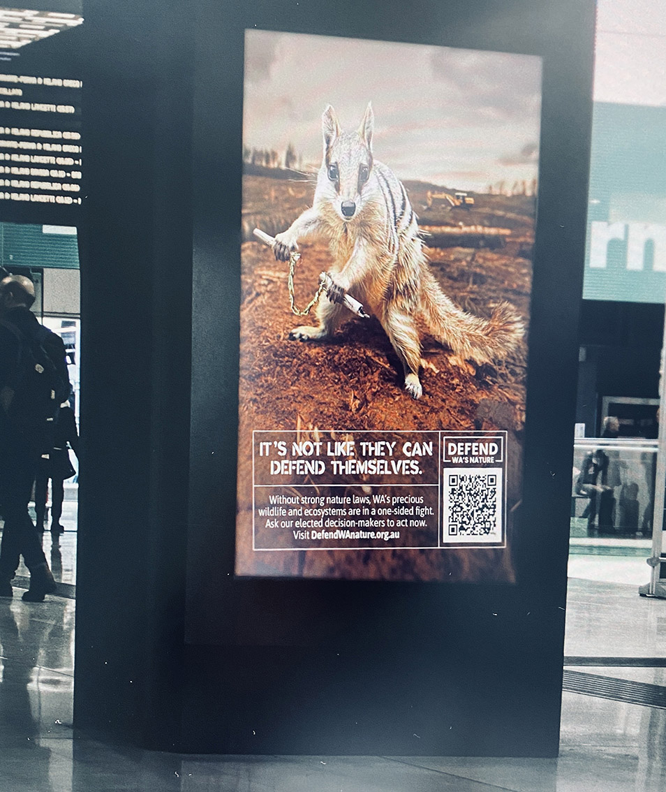 National Conservation sector taps Wildlings to launch campaign defending WA’s nature