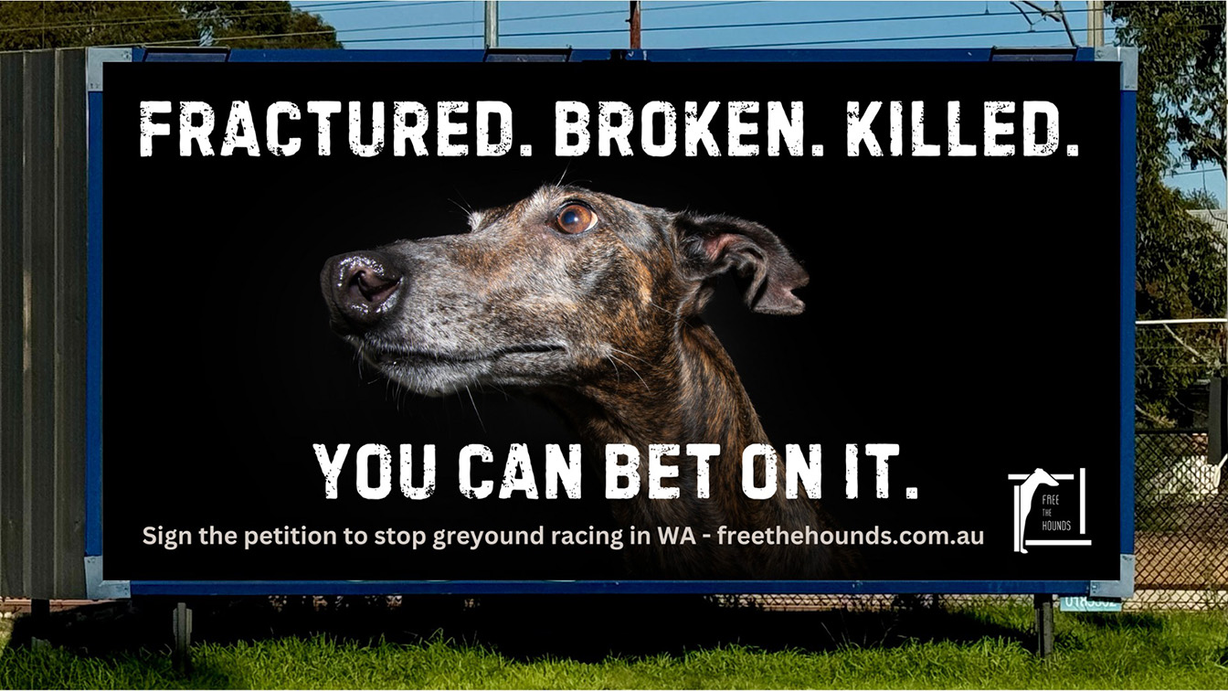 AT Creative and Neve Media release latest work to help Free the Hounds