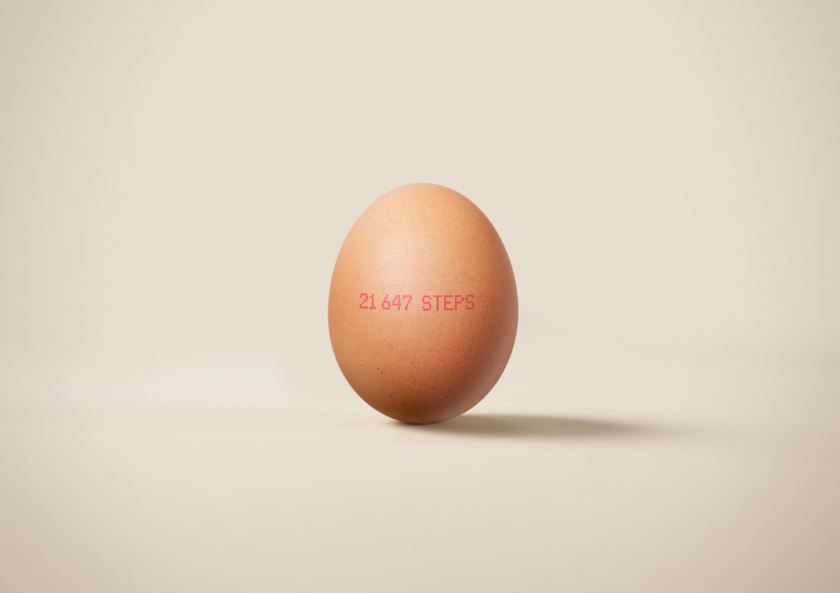 The Brand Agency win Bronze for Foodbank WA’s ‘Hunger Ghrelins’ at the 2024 Australian Effie Awards: BMF crowned Effective Agency of the Year