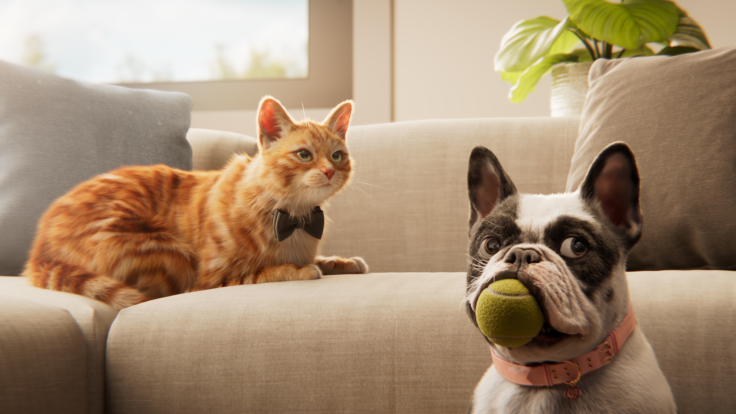 MyPlace introduces Aussies to Francois and Tom in new campaign for MyPlaceIQ via Braincells