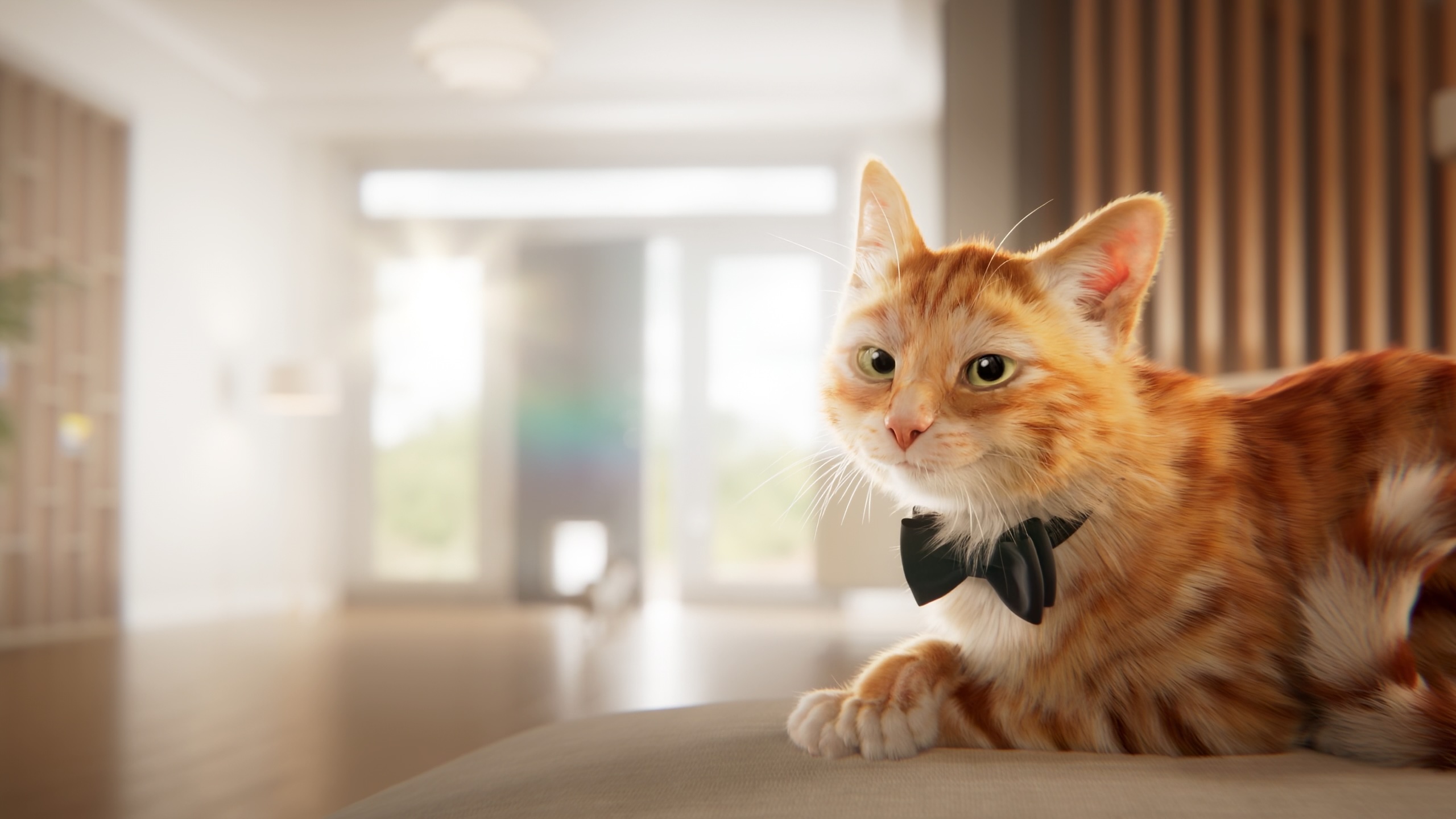MyPlace introduces Aussies to Francois and Tom in new campaign for MyPlaceIQ via Braincells