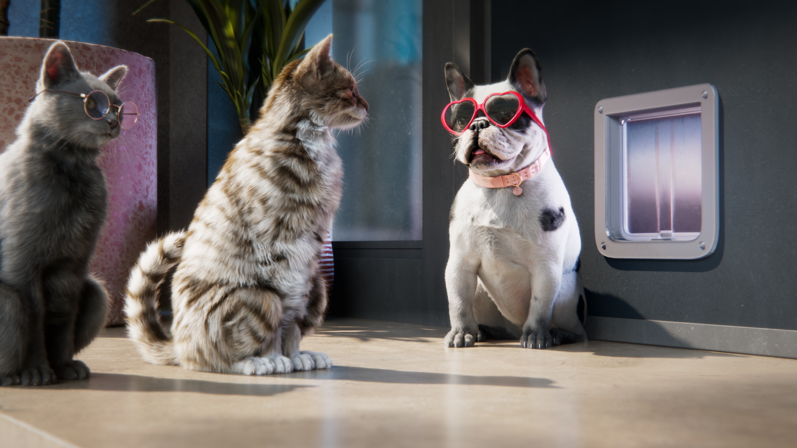 MyPlace introduces Aussies to Francois and Tom in new campaign for MyPlaceIQ via Braincells