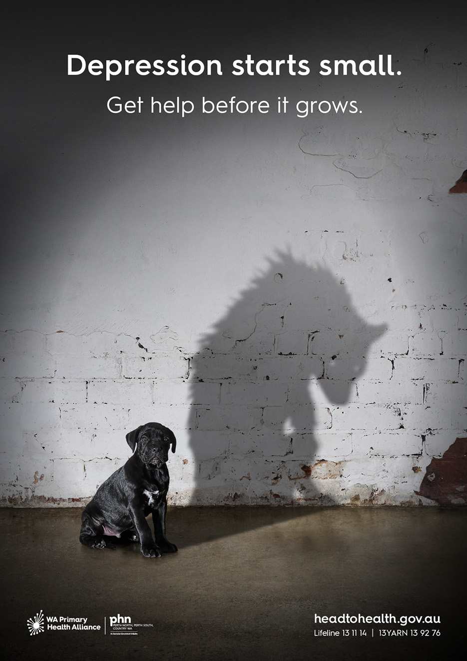 WA Primary Health Alliance introduces ‘The Black Puppy’ in new depression campaign via Rare