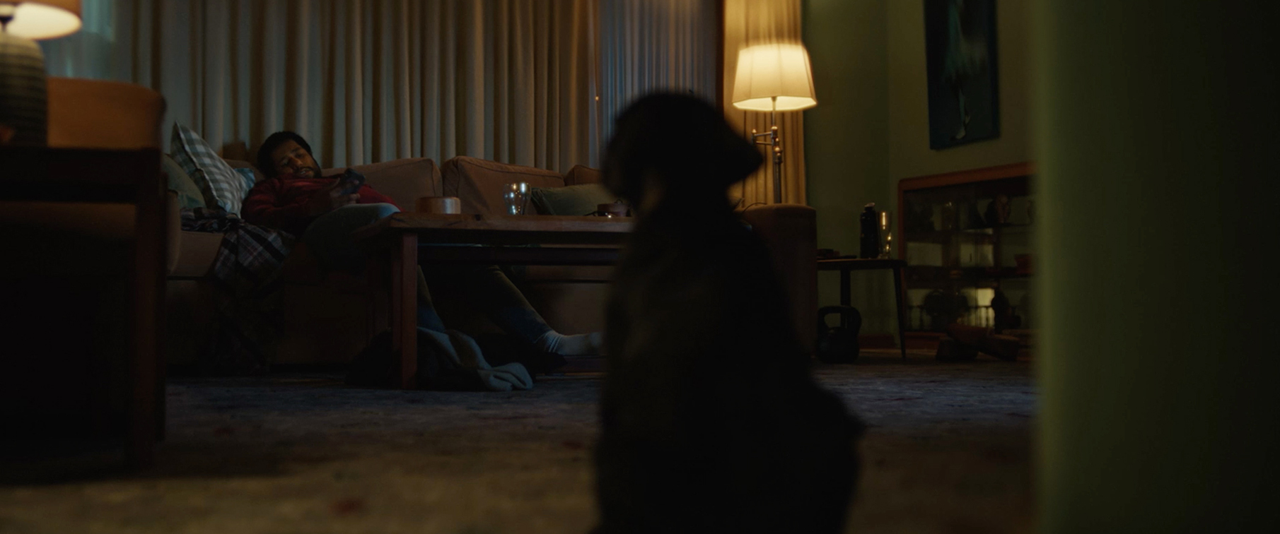 WA Primary Health Alliance introduces ‘The Black Puppy’ in new depression campaign via Rare