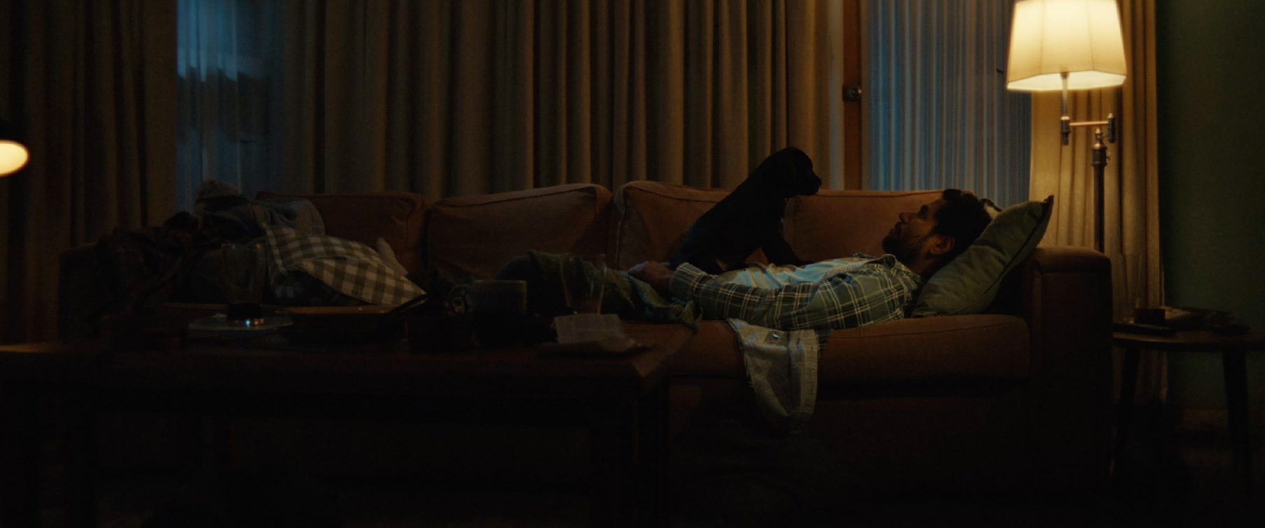 WA Primary Health Alliance introduces ‘The Black Puppy’ in new depression campaign via Rare