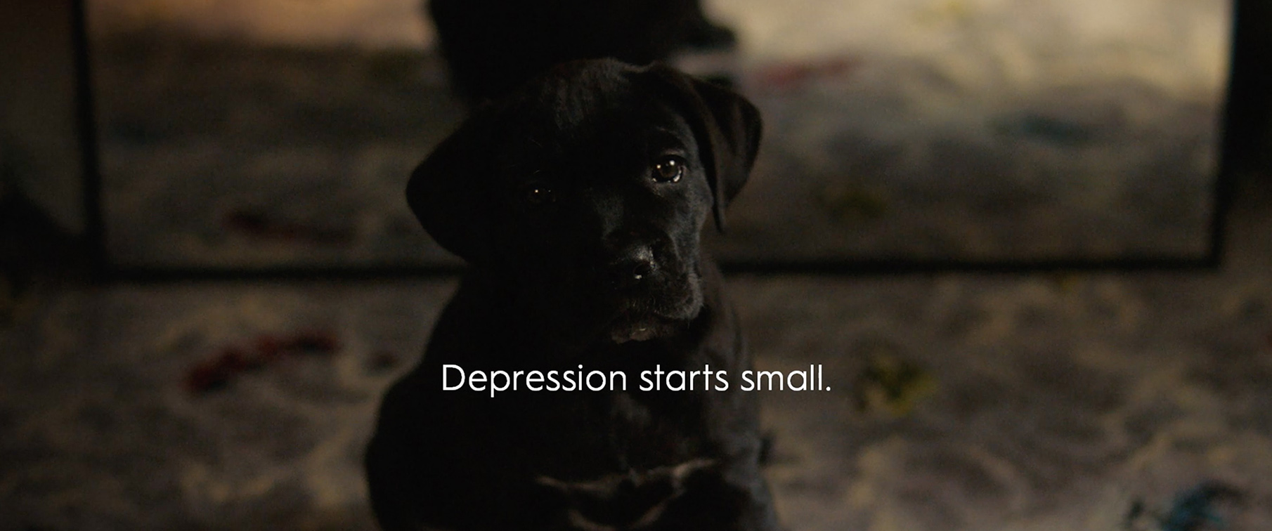WA Primary Health Alliance introduces ‘The Black Puppy’ in new depression campaign via Rare