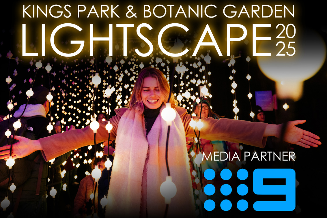 Nine announces partnership with lightscape 2025