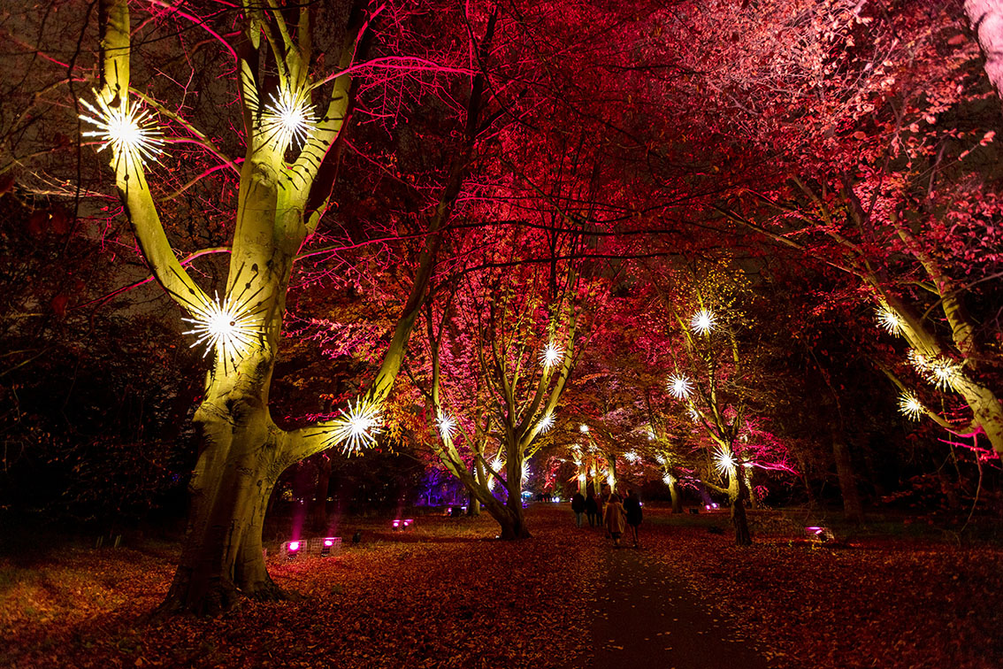 Nine announces partnership with lightscape 2025