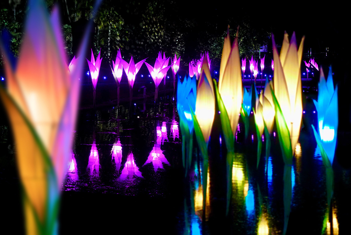 Nine announces partnership with lightscape 2025
